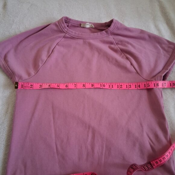 Madewell Women's Size Large Shaded Pink Raglan-Sleeve Baby Tee Shirt - Picture 8 of 9